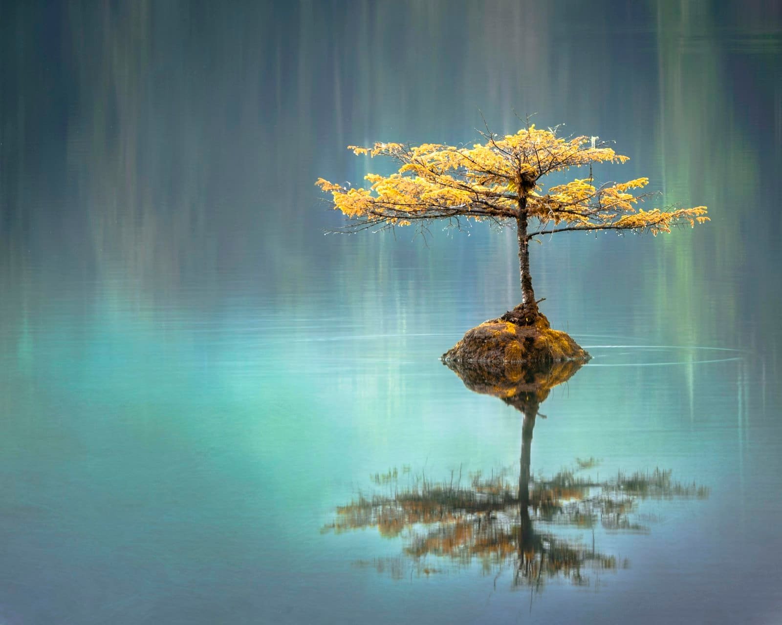 The art of holistic wellness: How a wellness centre can help you bid adieu to an atrocious lifestyle